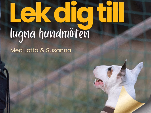 Webinar: Lek dig till lugna hundmöten