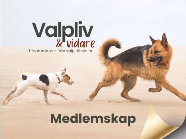 Valpliv&Vidare - ett år