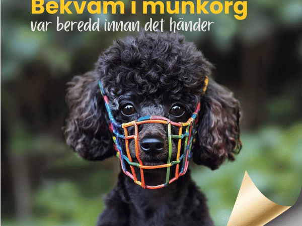 Bekväm i munkorg